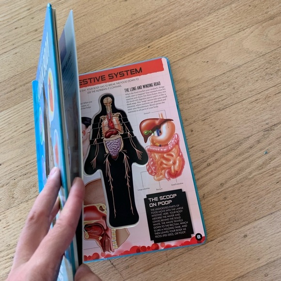 human body kids book - Picture 5 of 5